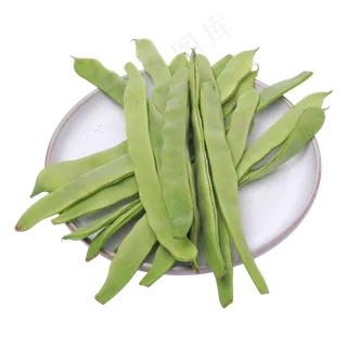 绿色四季豆