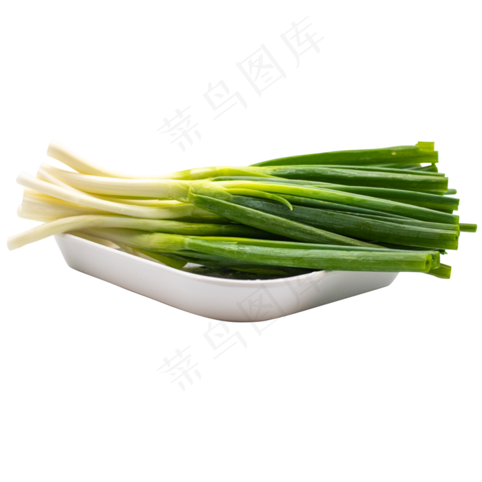 有机蔬菜小葱