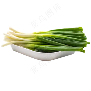 有机蔬菜小葱 有机蔬菜小葱