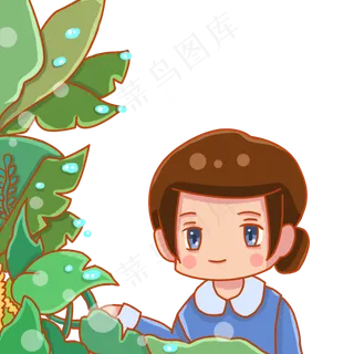 二十四节气白露观察