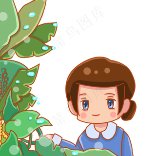 二十四节气白露观察