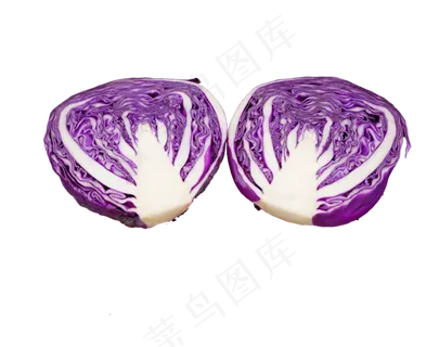 紫色紫包菜蔬菜