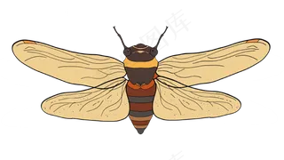 立秋动物知了蝉
