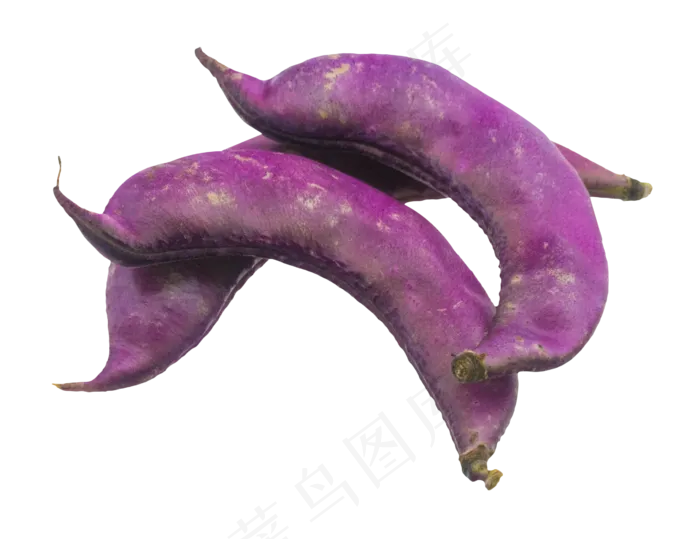 紫色蔬菜扁豆(2048X2048(DPI:132))