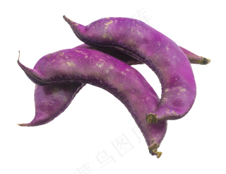 紫色蔬菜扁豆
