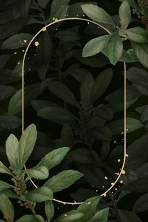 树叶背景上的金框