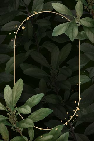树叶背景上的金框