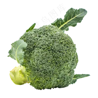 花椰菜花菜蔬菜 花椰菜花菜蔬菜