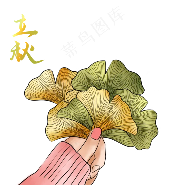 节气立秋手拿银杏(2000X2000(DPI:300))psd模版下载