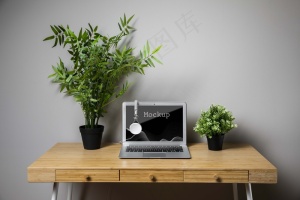 植物和macbook实体模型样机