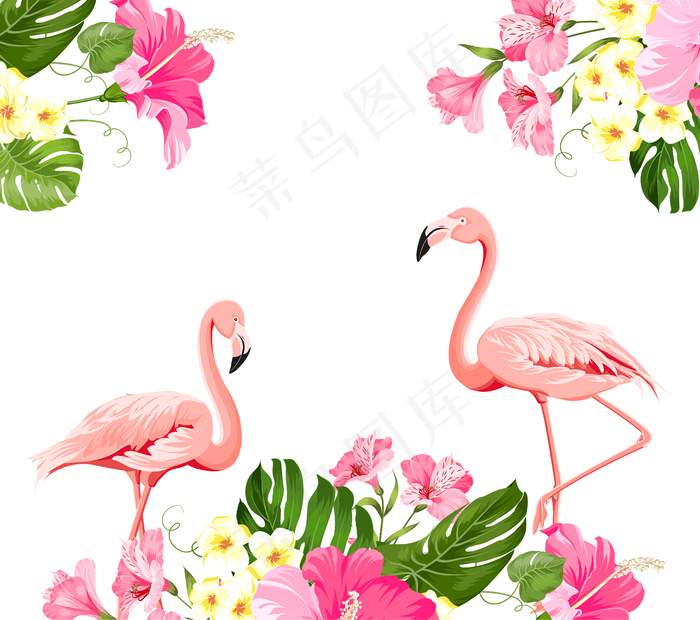 白色背景上的热带花和火烈鸟。矢量插图。