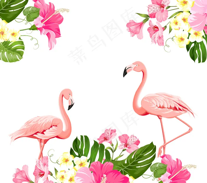 白色背景上的热带花和火烈鸟。矢量插图。