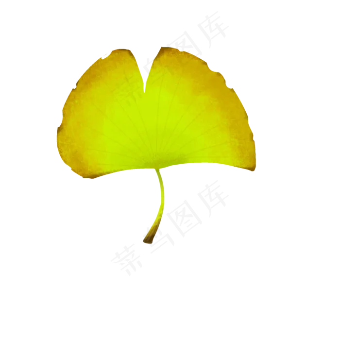 可爱秋天银杏元素简约(2000X2000(DPI:300))psd模版下载