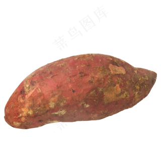 番薯红薯地瓜蔬菜