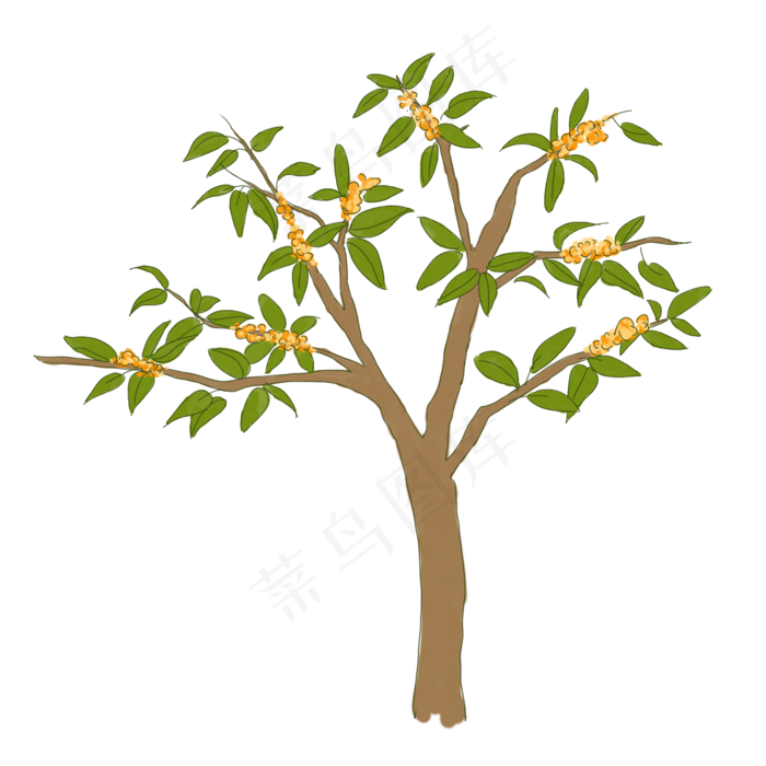 桂花树手绘桂花(2000X2000(DPI:300))psd模版下载