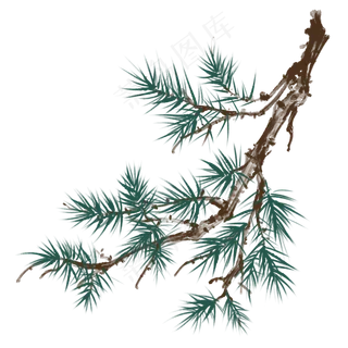 松树松柏中国风冬天,免抠元素