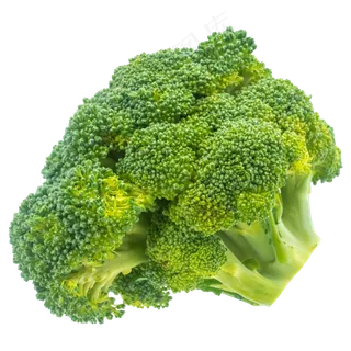 美味绿色花椰菜 美味绿色花椰菜