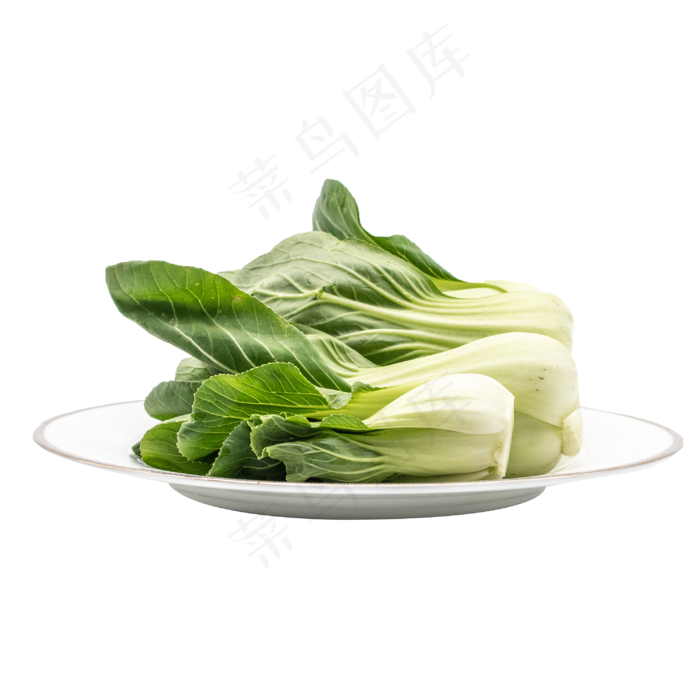 一盘蔬菜油菜(2000X2000(DPI:300))