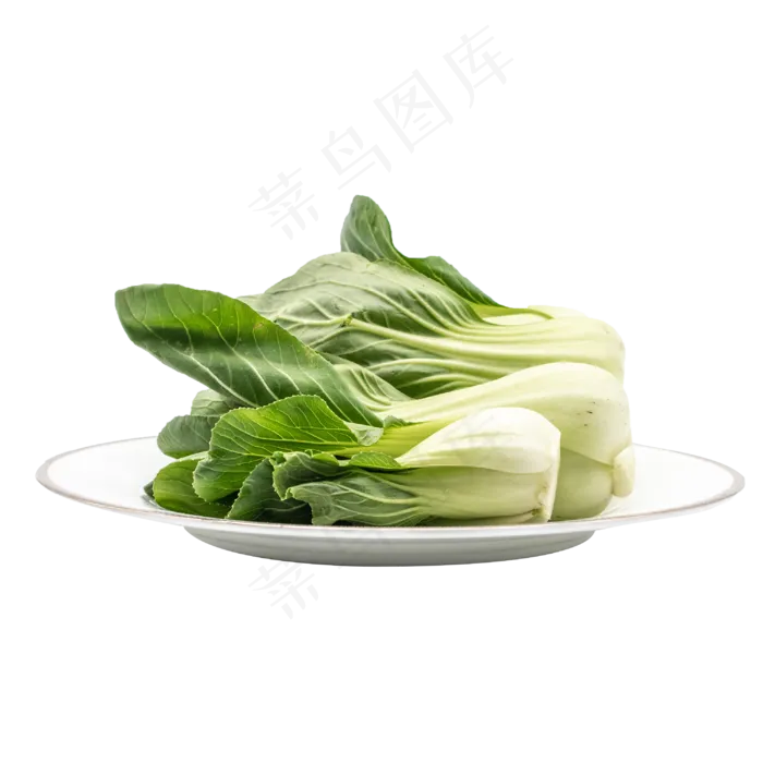 一盘蔬菜油菜(2000X2000(DPI:300))