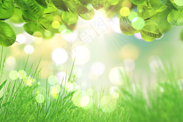 (bokeh)散景上的绿叶和绿草照亮了背景