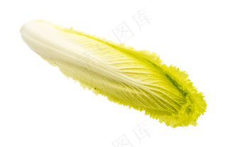 绿色蔬菜白菜芯