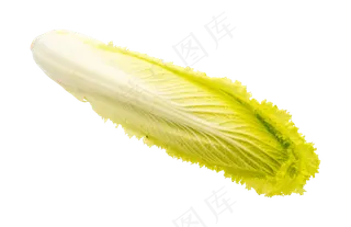 绿色蔬菜白菜芯