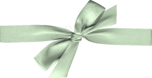 蝴蝶结彩带 