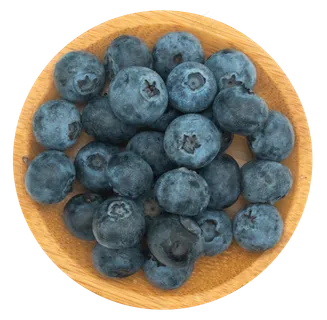 蓝莓浆果有机水果