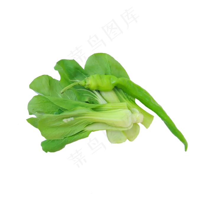 青椒和小油菜(2000X2000(DPI:300))