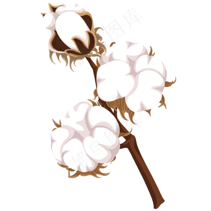 二十四节气寒露棉花(3000X3000(DPI:300))psd模版下载