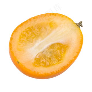 金色切开的金桔元素