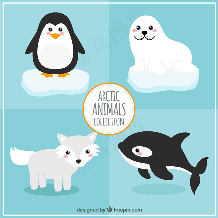 北极动物收藏