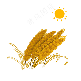 秋收金黄麦穗