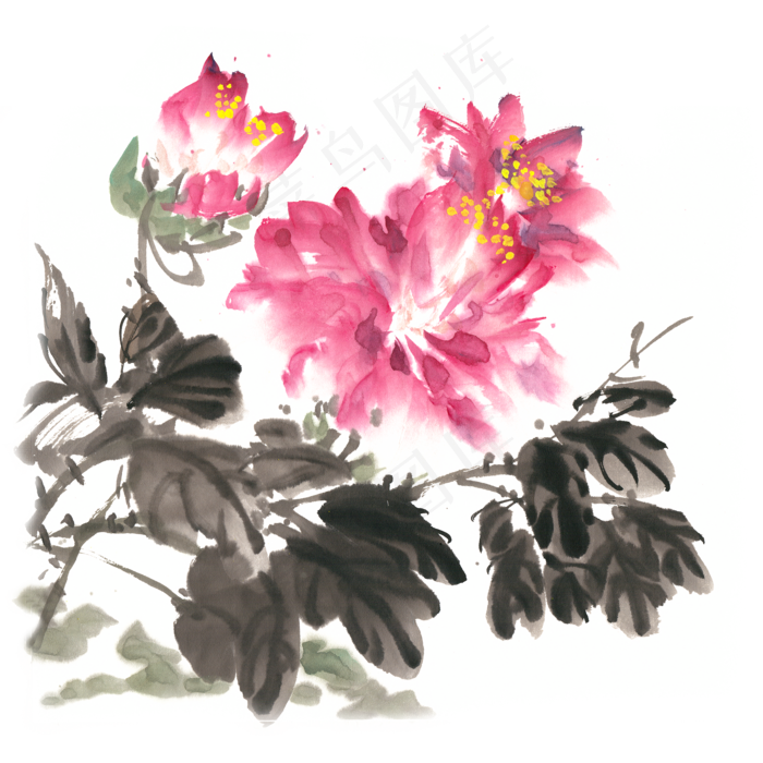 鲜艳的牡丹花水墨画PNG免抠素材