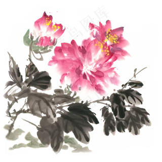 鲜艳的牡丹花水墨画PNG免抠素材