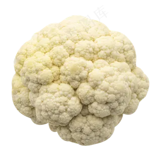 白色蔬菜新鲜 白色蔬菜新鲜