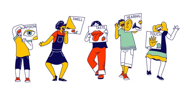 人类感知概念的五种感官。孩子们排成一排，拿着卡片视觉、嗅觉、味觉、听觉和触觉。眼、鼻、舌、耳、手。线性人矢量图