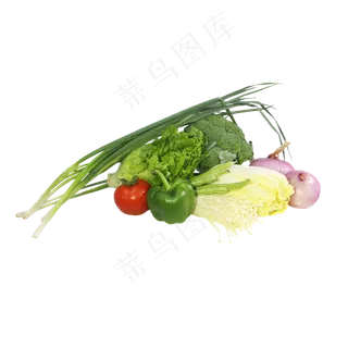 有机新鲜蔬菜组合 有机新鲜蔬菜组合