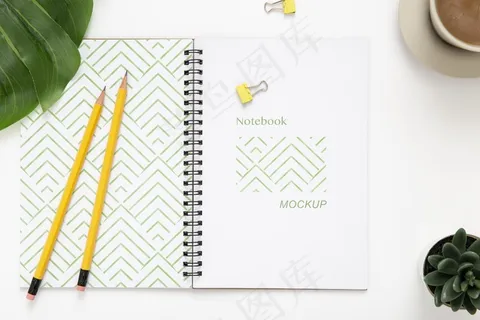 桌面俯视图，带笔记本和肉质