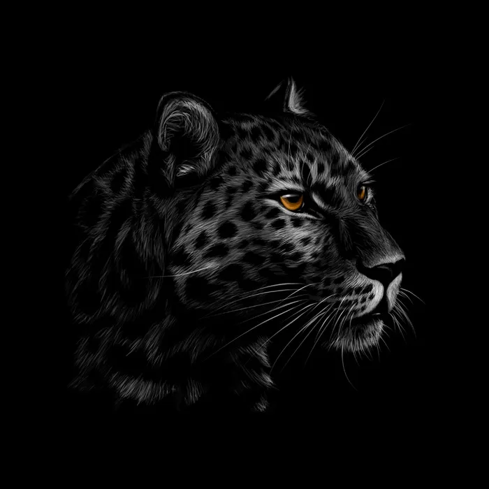 黑色背景上的豹子头像。插图