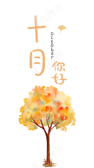 十月份秋日的红枫树