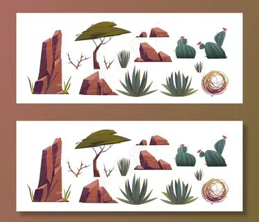 非洲沙漠中的风滚草、仙人掌和岩石