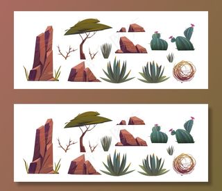 非洲沙漠中的风滚草、仙人掌和岩石