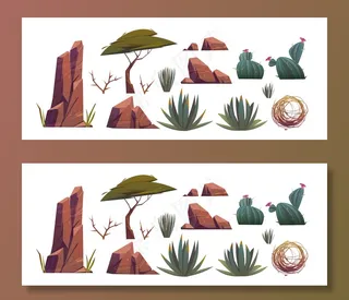 非洲沙漠中的风滚草、仙人掌和岩石