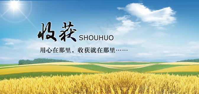 收获稻谷 丰收 绿色环保