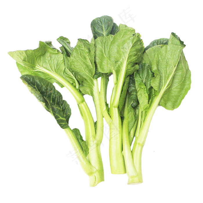 绿色菜芯蔬菜青菜