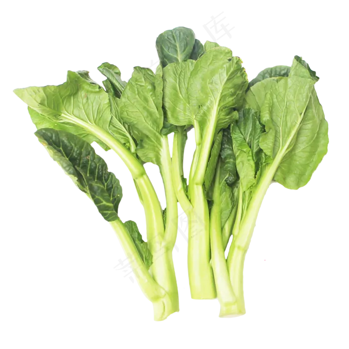 绿色菜芯蔬菜青菜(2333*2333px 300 dpi )