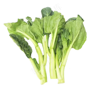绿色菜芯蔬菜青菜