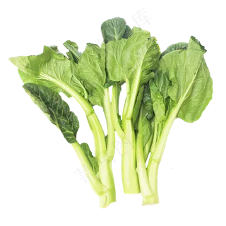 绿色菜芯蔬菜青菜