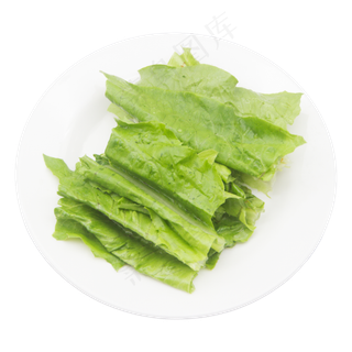 绿色蔬菜生菜
